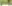 കോവിഡ് 19: ജോക്കോവിച്ചിന്റെ പിഴക്കുന്ന സെർവുകൾ